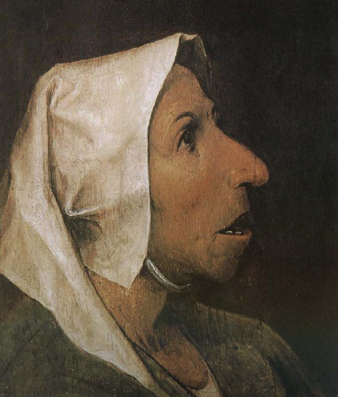 Pieter Bruegel Portrait of woman oil painting picture